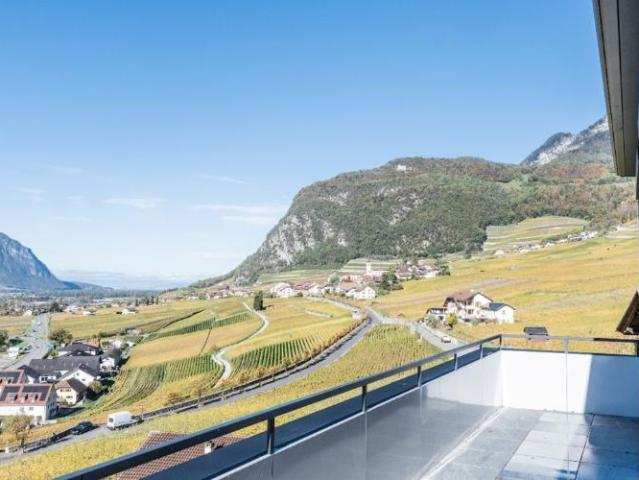 Panorama, indépendance et proximité. Vivre entre lac et montagnes Appartement contemporain à Aigle