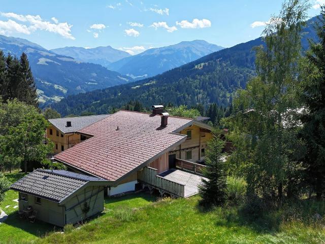 Panorama Mehrfamilienhaus in den Kitzbüheler Alpen 05969