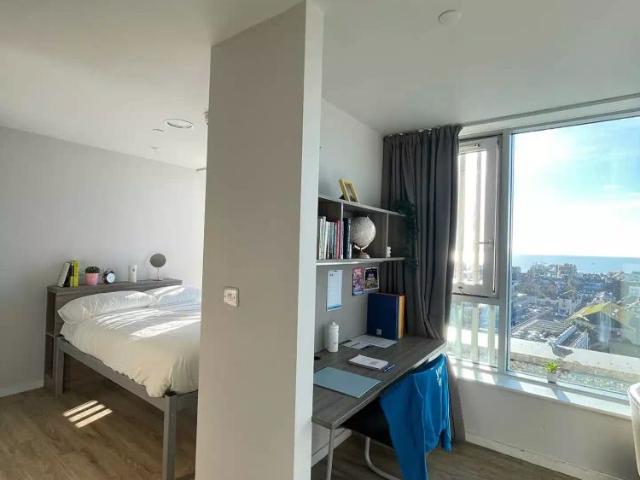 Panorama Studio