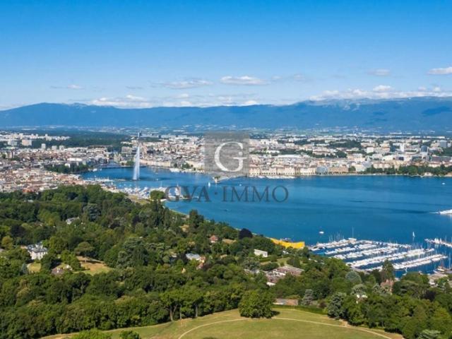 Panoramablick auf den See und den Jura