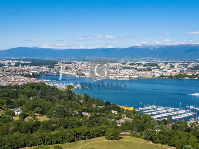 Panoramablick auf den See und den Jura