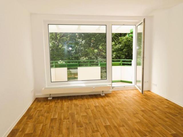 Panoramablick ins Grüne. Mitten auf dem Kaßberg