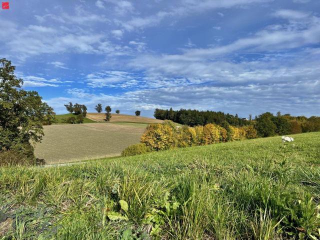 Panoramaweg Adresse ist Programm: Ins Land eini schaun