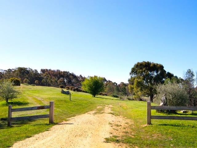 Panoramic views, established forestry & endless potential 142 Acres