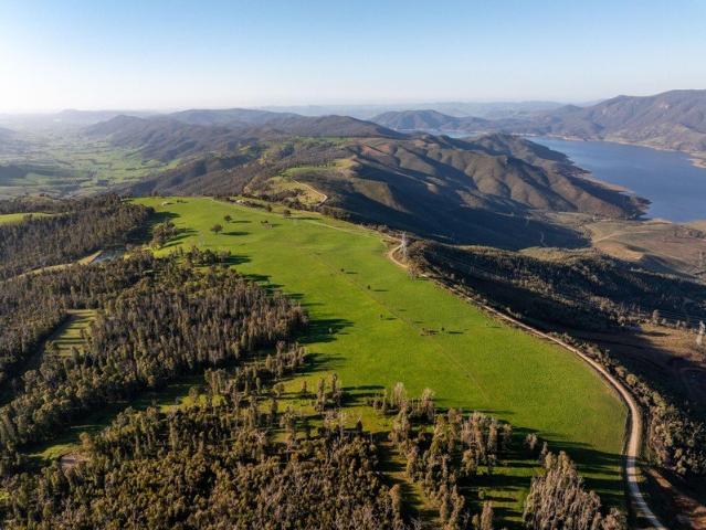Panoramic Views of Lake Blowering