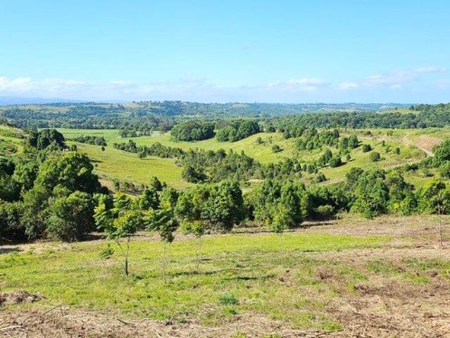 Panoramic Views with Northerly Aspect