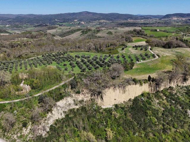 PANORAMICA DELL'IMMOBILE E POSIZIONE 420m² Asciano