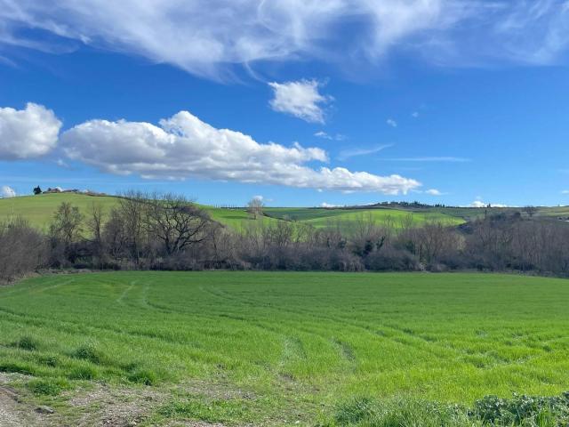 PANORAMICA DELL'IMMOBILE E POSIZIONE 1480m² Montalcino