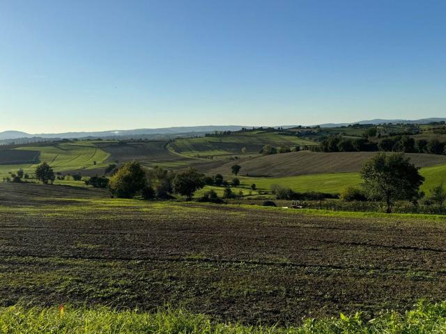 PANORAMICA DELL'IMMOBILE E POSIZIONE 1600m² Cortona