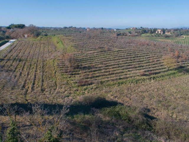 PANORAMICA DELL'IMMOBILE E POSIZIONE 250m² Montepulciano