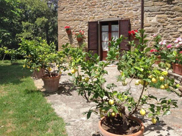 Panoramica Dell'immobile E POSIZIONE 265m² Cortona