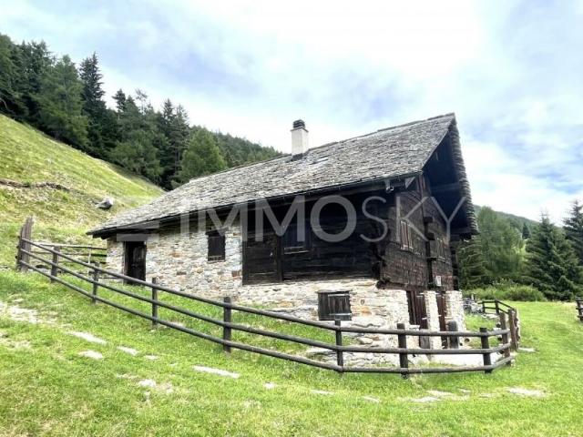 Pace, sole e tranquillità