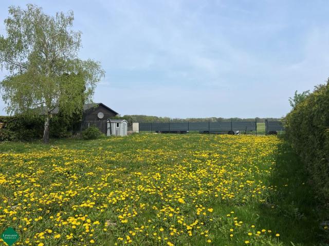 Pachtgrundstück in der Feriensiedlung Neufelder See