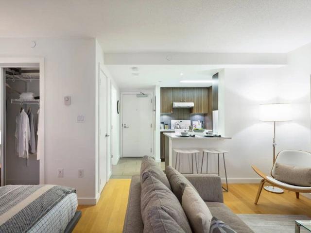 Pacific Palisades — Studio Large Windows & Views