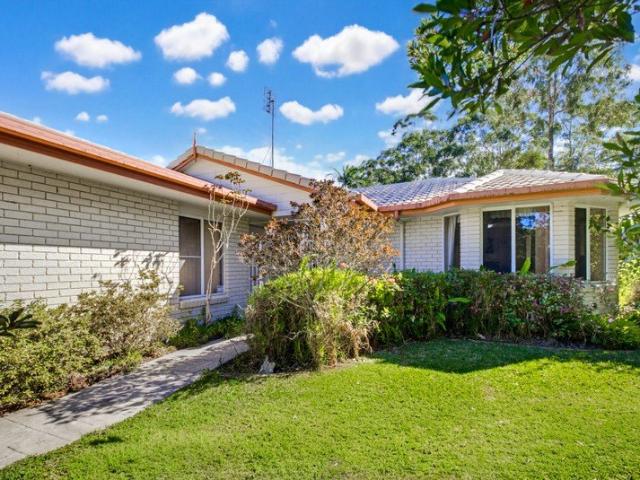 Packed with Potential in the Heart of Mountain Creek