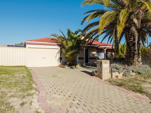 Packed with Potential on a Corner Block