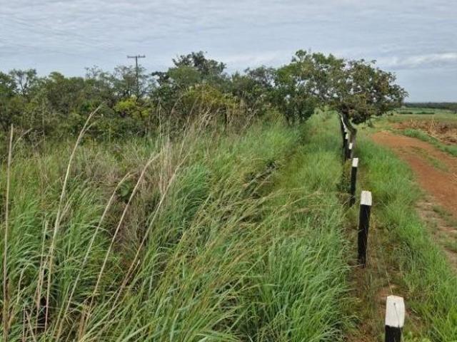 PADF CAFÉ SEM TROCO 24 HECTARES FRENTE ASFALTO