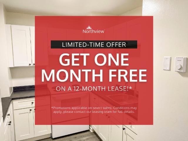 Paige & Downsview 3 Bedroom 1 Bath [object Promise] for Rent