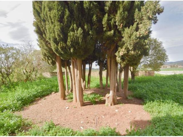 Palacete Andaluz en Tocón de Íllora