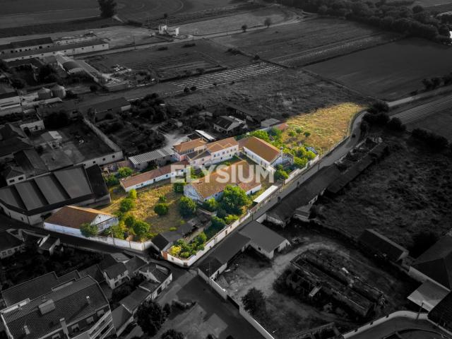Palácio T5 Venda em Alpiarça,Alpiarça 350m² Alpiarça