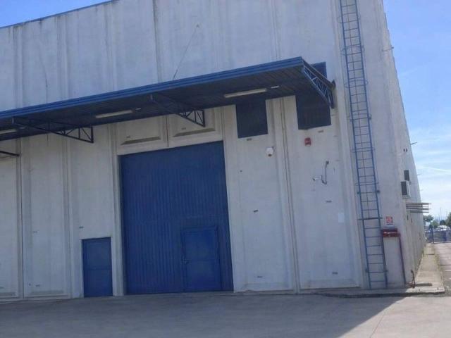 Palazzina commerciale in affitto a Casoria