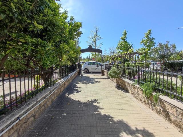 Palazzina commerciale in affitto a Follonica