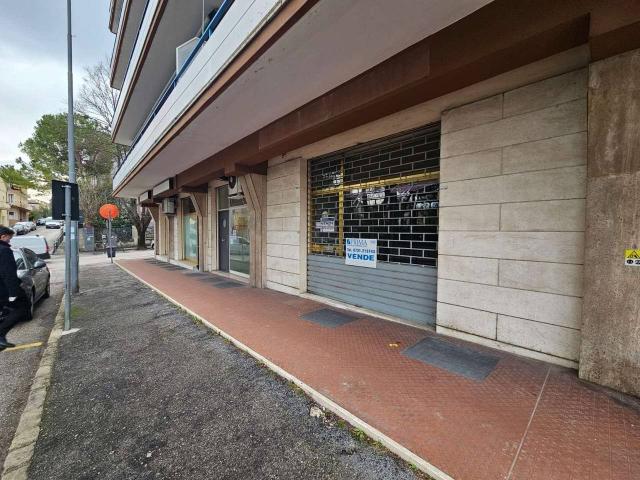 Palazzina commerciale in affitto a Jesi