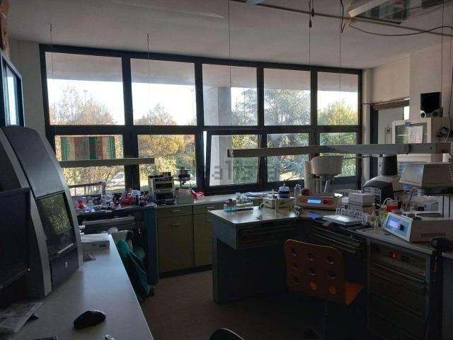 Palazzina commerciale in affitto a Reggio Emilia