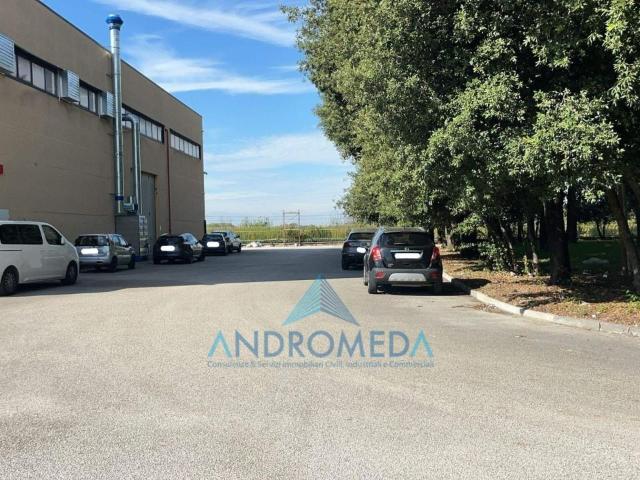 Palazzina commerciale in vendita a Capua