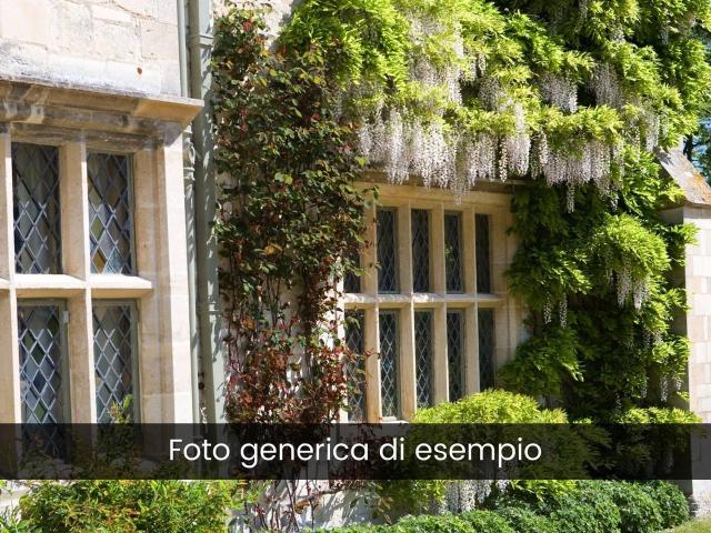 Palazzo in affitto a Cernusco Sul Naviglio