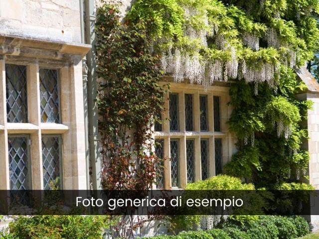 Palazzo in vendita a Udine