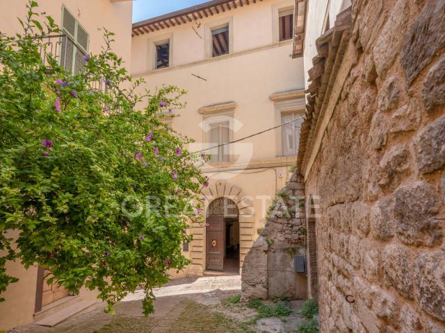 Palazzo Petroni 504m² Trevi