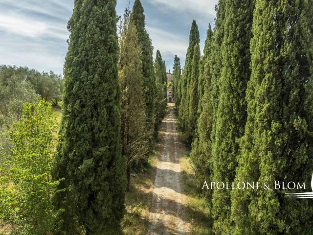 Palazzo / Stabile in vendita a Montalcino SI