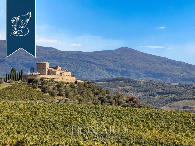 Palazzo / Stabile in vendita a Montalcino SI