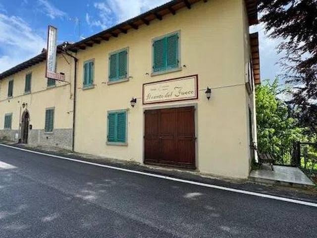 Palazzo / Stabile in vendita a Montemignaio AR