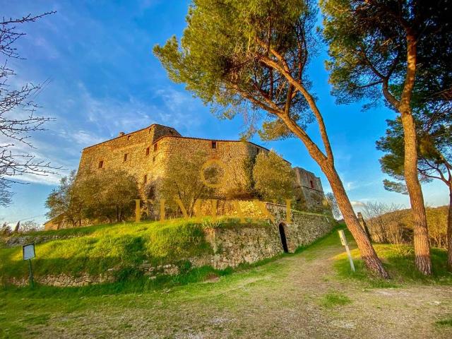 Palazzo / Stabile in vendita a Monteriggioni SI