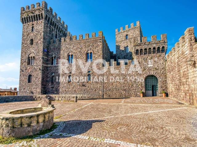 Palazzo / Stabile in vendita a Acquapendente VT
