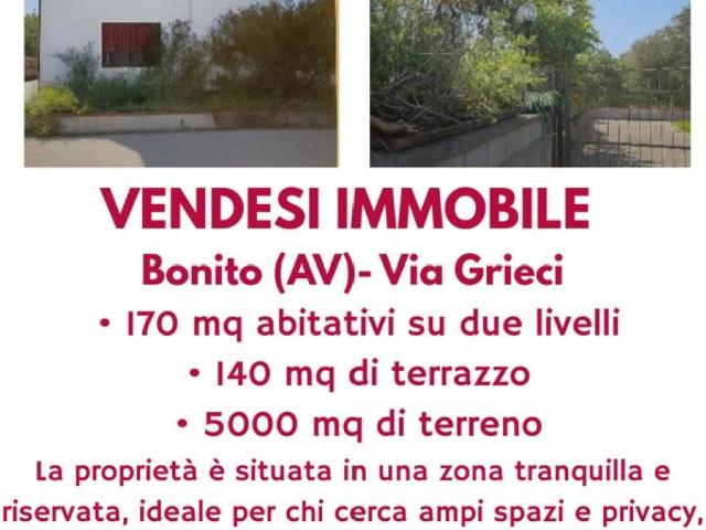 Palazzo / Stabile in vendita a Bonito AV