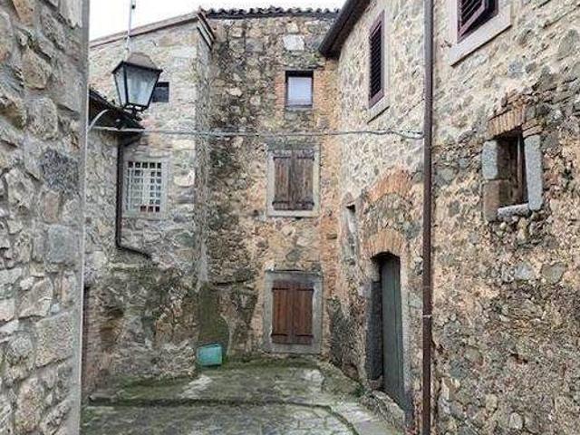 Palazzo / Stabile in vendita a Castel del Piano GR
