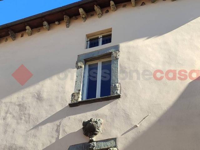Palazzo / Stabile in vendita a Castelnuovo di Garfagnana LU