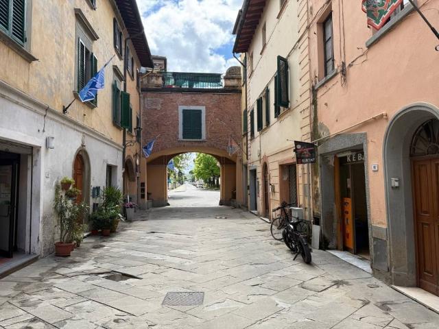 Palazzo / Stabile in vendita a Castelfranco di Sotto PI