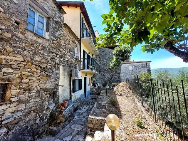 Palazzo / Stabile in vendita a Chiusanico IM