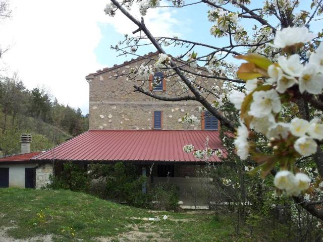 Palazzo / Stabile in vendita a Cortino TE