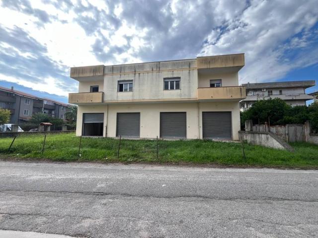 Palazzo / Stabile in vendita a Davoli CZ