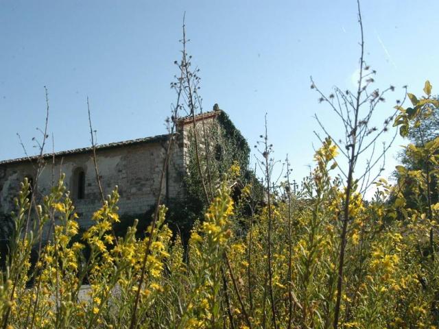 Palazzo / Stabile in vendita a Figline e Incisa Valdarno FI