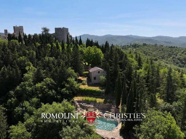 Palazzo / Stabile in vendita a Gaiole in Chianti SI