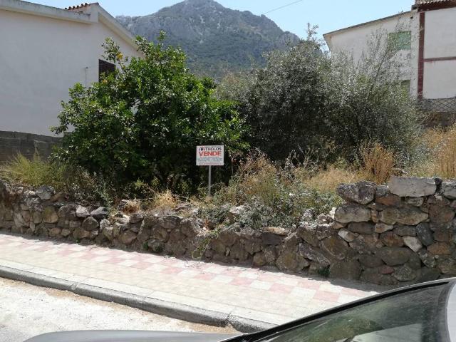 Palazzo / Stabile in vendita a Galtellì NU