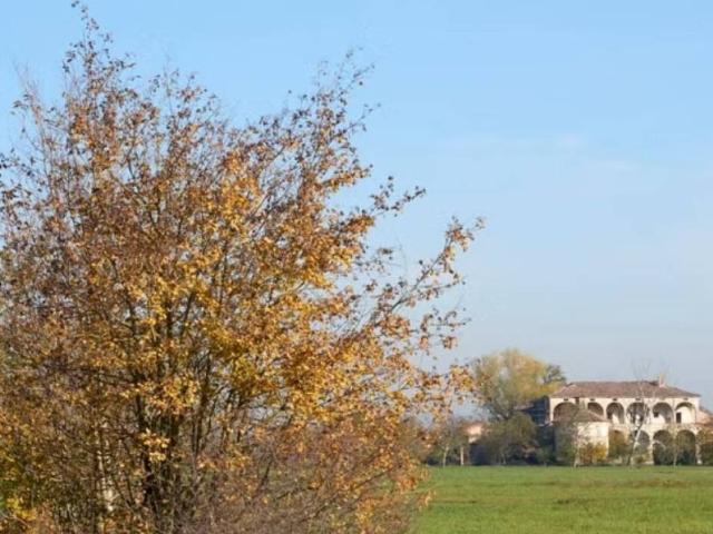 Palazzo / Stabile in vendita a Gattatico RE