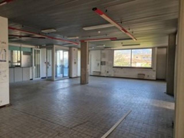 Palazzo / Stabile in vendita a Pescia PT