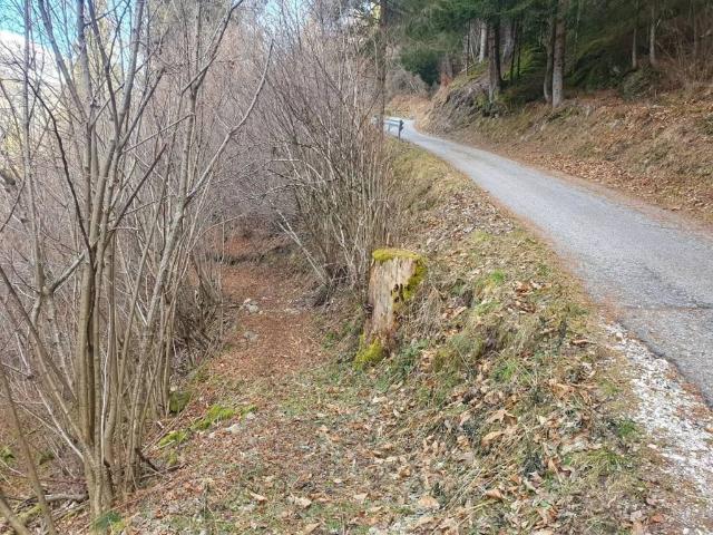 Palazzo / Stabile in vendita a Primiero San Martino di Castrozza TN